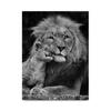 Black White Animals Lions Oil Painting Modern Canvas Posters and Prints Wall Art Picture for Living Room Cuadros Home Decoration