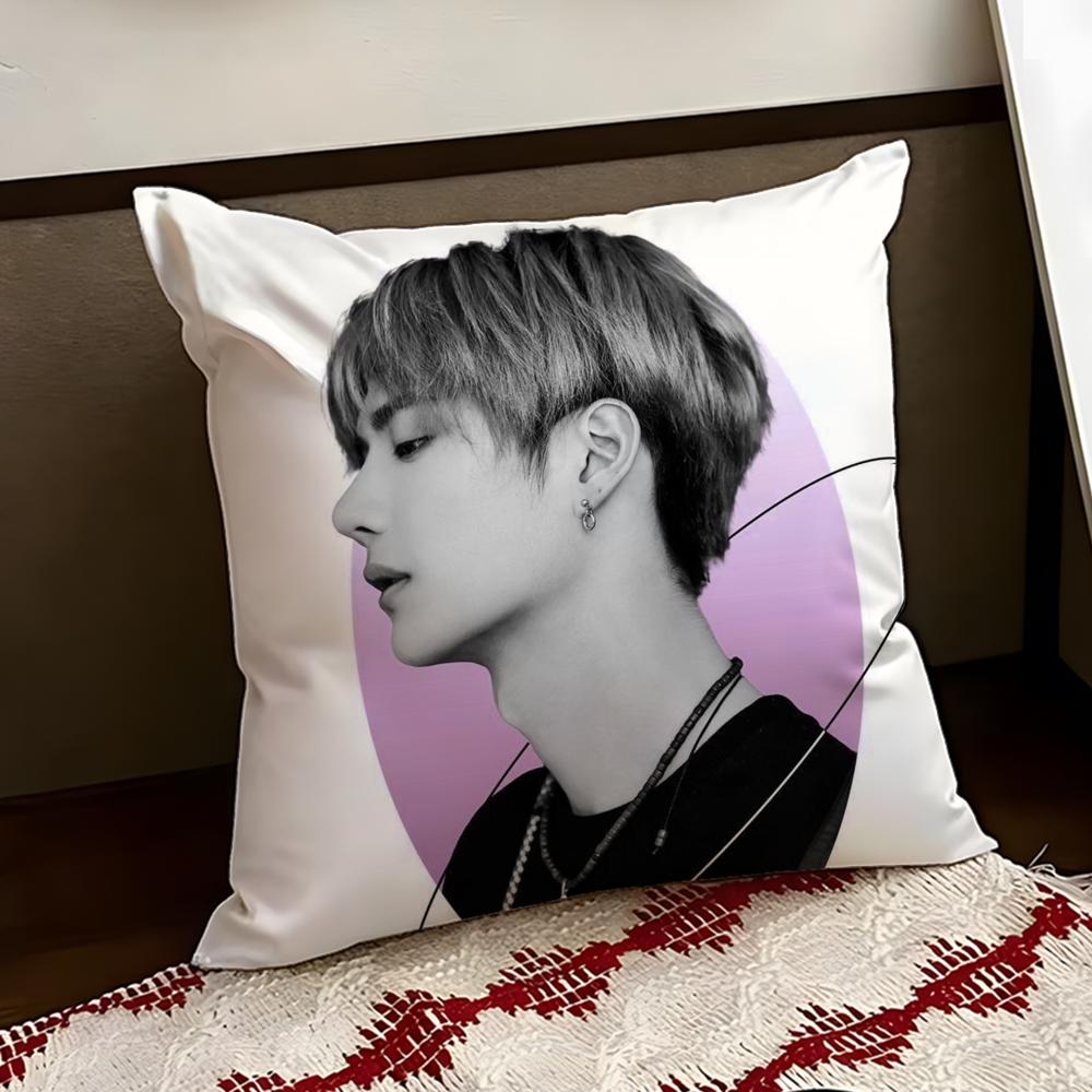 Singer WWang Yibo Cushion Cover Reversible Soft Durable Pillow Cover Home  Car MultiScene Use for Daily Comfort