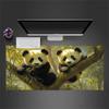 1pc Panda bears in tree Computer Pad  Mouse Pads for Desk,Gamers and Office Use 020252