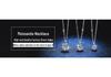 S925 Sterling Silver Adjustable Sunflower Bracelet with Moissanite, D Color, 1 Carat for Women