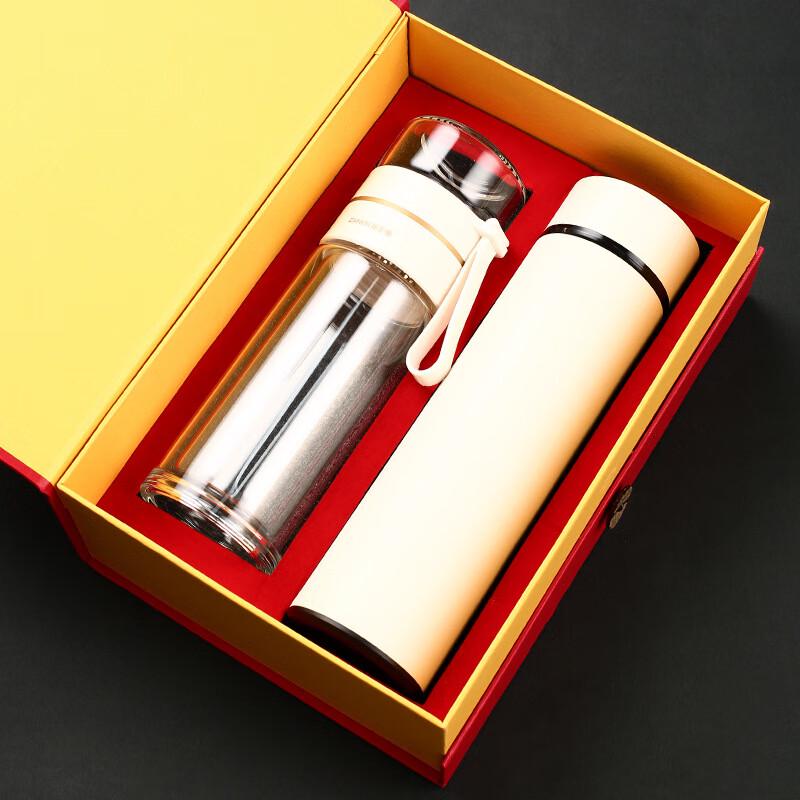 SX Tea Infuser Ceramic Insulated Tumbler Gift Set