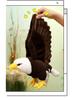 Cross-border Bald Eagle Plush Toy for Home, Office, or Living Room Decor