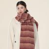 New Korean Version Versatile Fashion High-value Scarf Women's Cold Proof Neck Protection Light Luxury Shawl Scarf