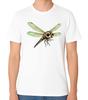 Cute Dragonfly Illustration T-Shirt Insect Nature Art Unisex Tee