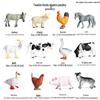 Marine Animal Models: Tuna, Triggerfish, Dolphin, Moray Eel, Squid, Whale Shark, Hammerhead Shark, Sea Turtle, Swordfish