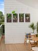 2pcs Wall Hanging Glass Vases with Wood Board Real Wood Decor for Hydroponic Plants