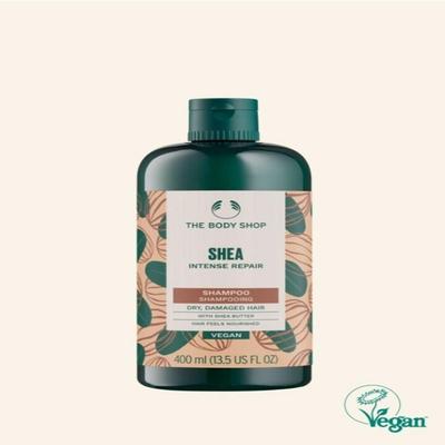 Shea Intense Repair Shampoo 400
