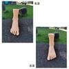 Practice Mannequin Foot Torso Width 9 x Length 23 x Height 39cm Accessory Flesh Color Beige Ankle Leg Shop Arrangement Accent Interior Decorate