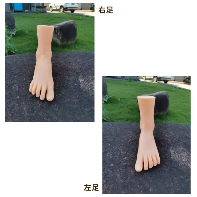 Practice Mannequin Foot Torso Width 9 X Length 23 X Height 39cm Accessory Flesh Color Beige Ankle Leg Shop Arrangement Accent Interior Decorate