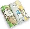 Flannel Diapers, Set of 3 (D)
