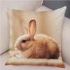 Cute Rabbit Cushion  Pillowcase Pillow S for Sofa Car Home Decor Pet Animal Pillow  Cotton Short Plush  ,(1)