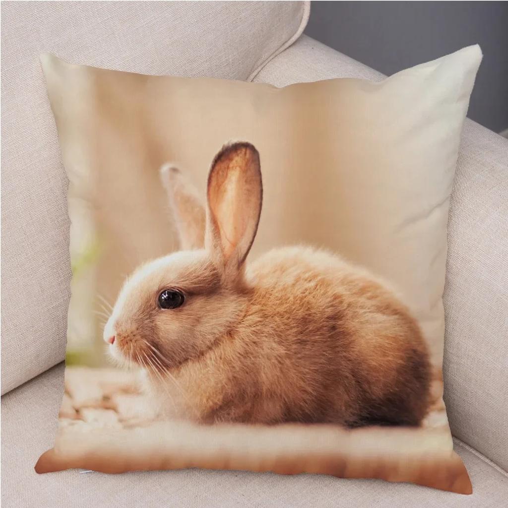 Cute Rabbit Cushion Pillowcase Pillow s for Sofa Car Home Decor Pet Animal Pillow Cotton Short Plush ,(1)