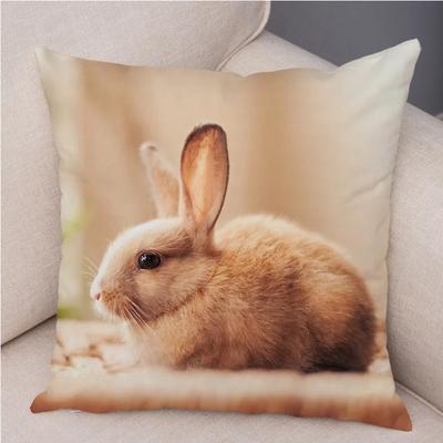 Süßes Kaninchen Kissen Kissenbezug Kissen für Sofa Auto Heimdeko Haustier Tier Kissen Baumwolle Kurzer Plüsch  ,(1)