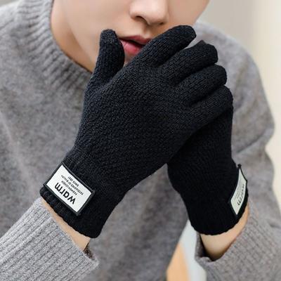 Herrenhandschuhe Winter Studenten kalt und warm Koreanische Version niedlich Fünffinger Touchscreen Wollhandschuhe verdickt hübsch Radfahren