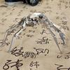 Metal Craft Time Spider Stainless Steel Static Mechanical Insect Model Crafts Diy Assembly of Finished Decorations, Tabletop Cra