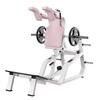 Commercial Squat and Hip Thrust Machine