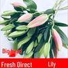 Decorațiuni pentru casă – Flori decorative şi coroane de flori