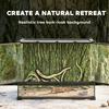 Reptile Glass Terrarium with Stone Background, Front Ventilation, Escape-Proof Knob Lock, 50 x 30 x 35 cm, Black