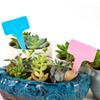 20PCS T Shape Garden Labels Thickening Garden Plant Tag Plant Classification Sorting Sign Tag