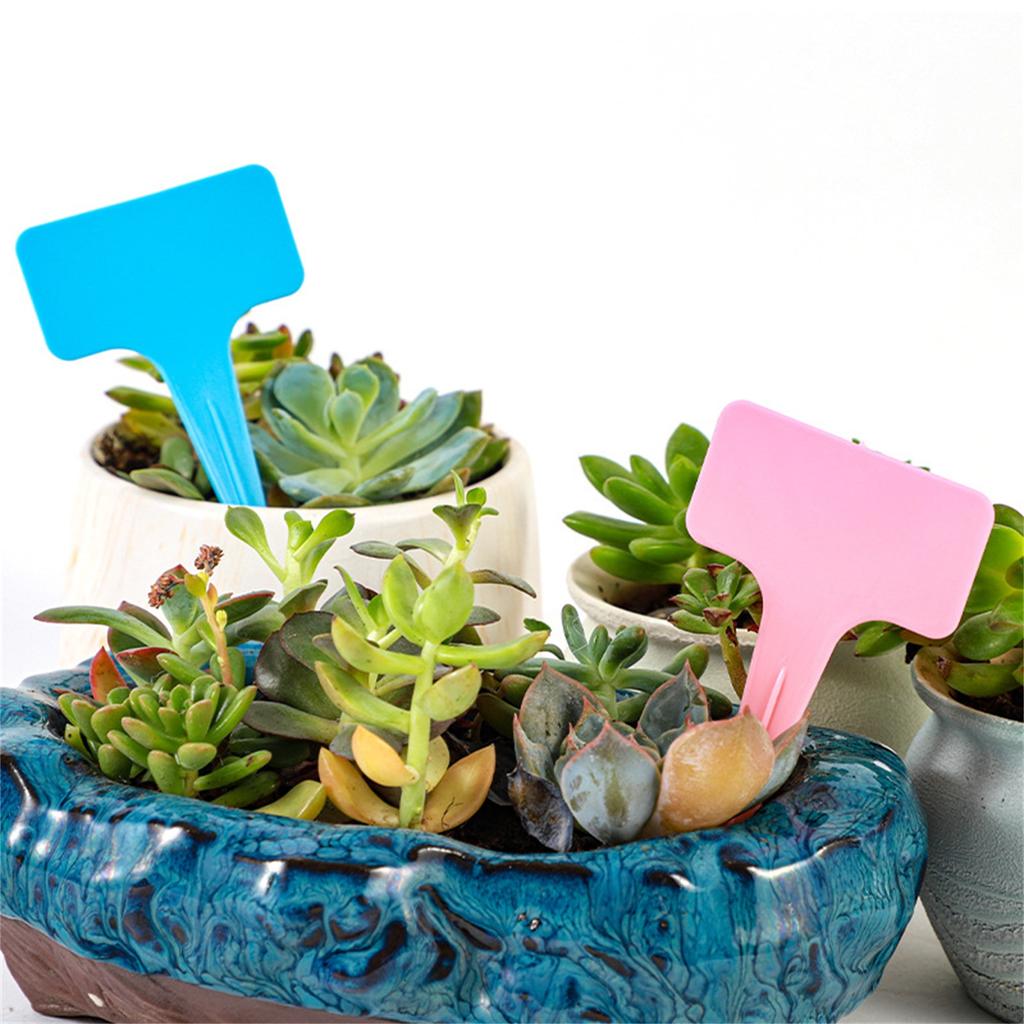 20PCS T Shape Garden Labels Thickening Garden Plant Tag Plant Classification Sorting Sign Tag