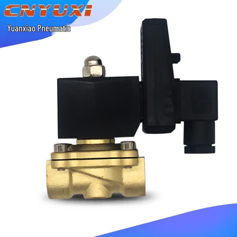 Banjue Brass Electronic Timing Solenoid Valve