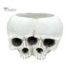 Gothic Style Gift Double Skull Flowerpot for Succulents Green Plants, Realistic Resin Planter, Small Pot Plant Halloween Party & Indoor Outdoor