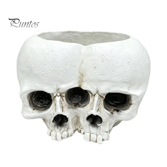 Gothic Style Gift Double Skull Flowerpot for Succulents Green Plants, Realistic Resin Planter, Small Pot Plant Halloween Party & Indoor Outdoor