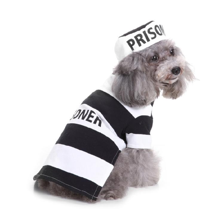 Christmas Dogs Jumpsuit with Hat Set Halloween Party Pet Transfiguration Costume S