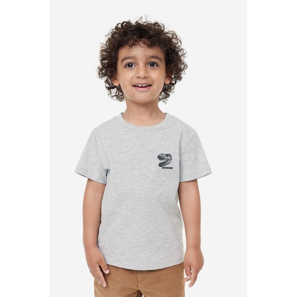 

Хлопковая футболка HM Серый меланжевый T Rex