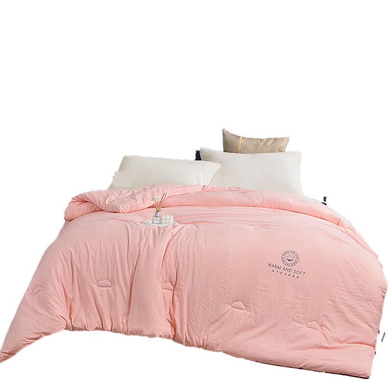 

Jie Li Ya Cloud Comfort All-Season Comforter