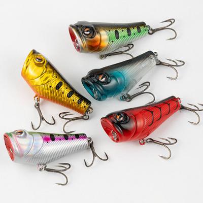 5.5CM/9G Topwater Fishing Lure with Double Hooks Realistic Floating Bionic Artificial Plastic Hard Bait Freshwater Saltwater Fishing Accessories