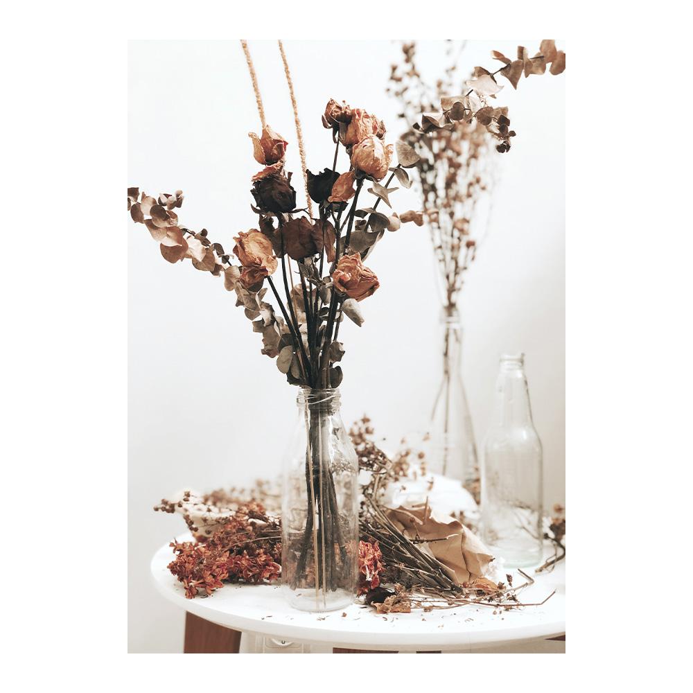 

Beige Reed Dandelion Wall Art Painting Dried Flower Grass Plants Canvas Print Sand Hand Poster Nordic Wall Pictures Home Decor 20x30cm