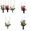 Parrot Hanging Ornament Garden Micro Landscape Resin Craft For Wedding And Party Decor