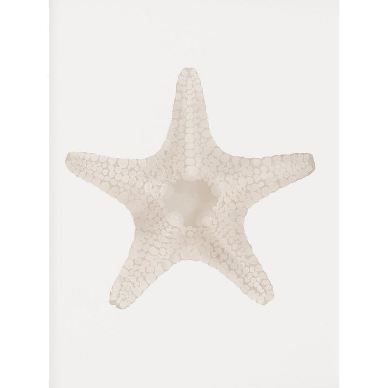 Strandkrabbe Muschel Koralle Seestern Schale Sand Aquarell Poster Leinwanddruck Küstenwandkunst Bild für Wohnzimmer Heimdeko