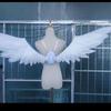 DIY Butterfly Wing Device Automatic Angel Wings Electric Wing Opener Device  Costume Accessory