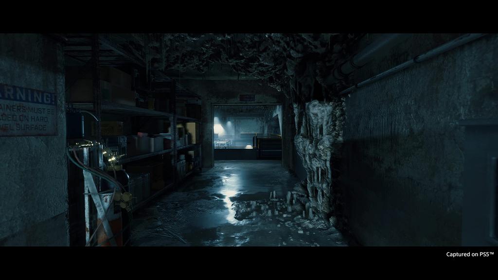 DEATH STRANDING CUT [PS5] DIRECTOR'S