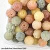 Vajra Star Moon Bodhi Beads - Raw Loose Beads for Handmade DIY Jewelry