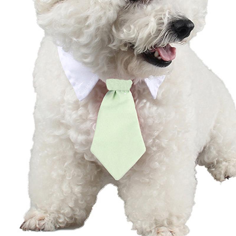 cute dog accessories