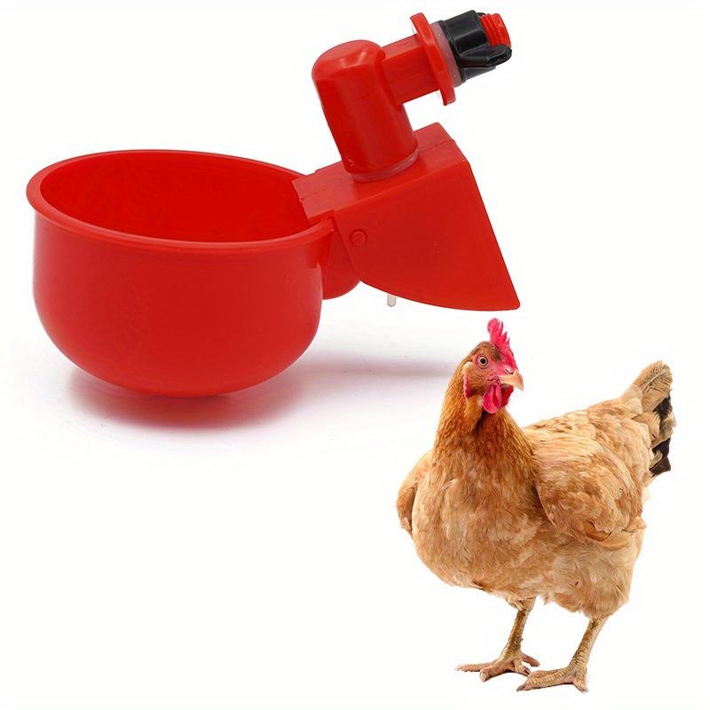 Chicken Drinking Bowl Drinking Water Quail Poultry Automatic Water Dispenser Duck and Pigeon Free Range Chicken