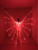 Halloween LED Glowing Butterfly Wings Costume