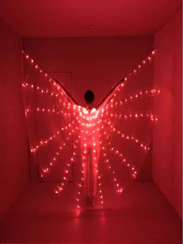 Halloween LED Glowing Butterfly Wings Costume