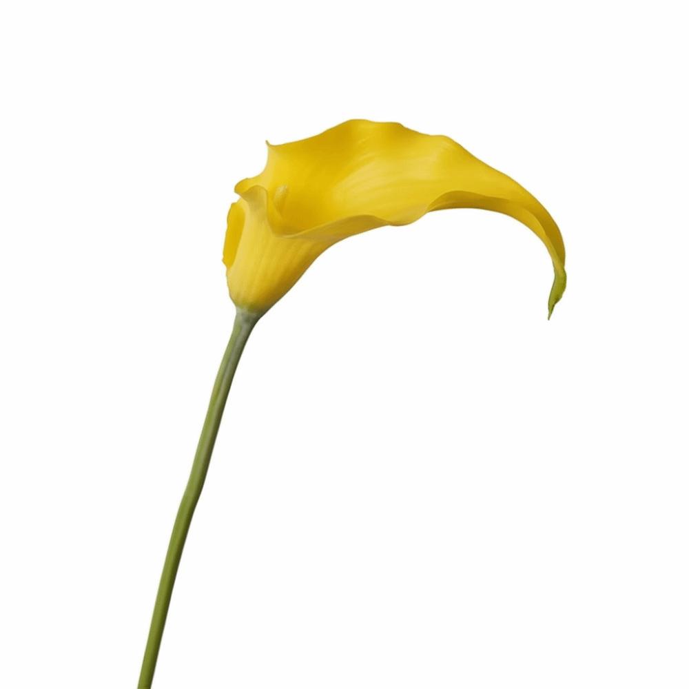 Süße Haptik Künstliche Calla Realistisches Aussehen Mini-Stil Calla-Blume Künstlicher Blumenstiel Hochzeitssträuße