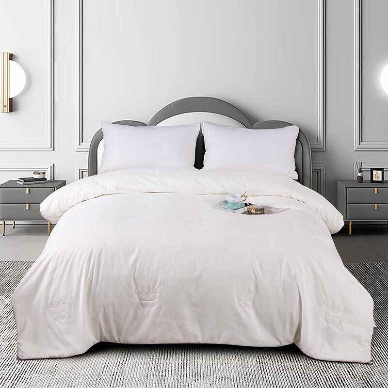 

JOES HOME All-Season Lightweight Quilt