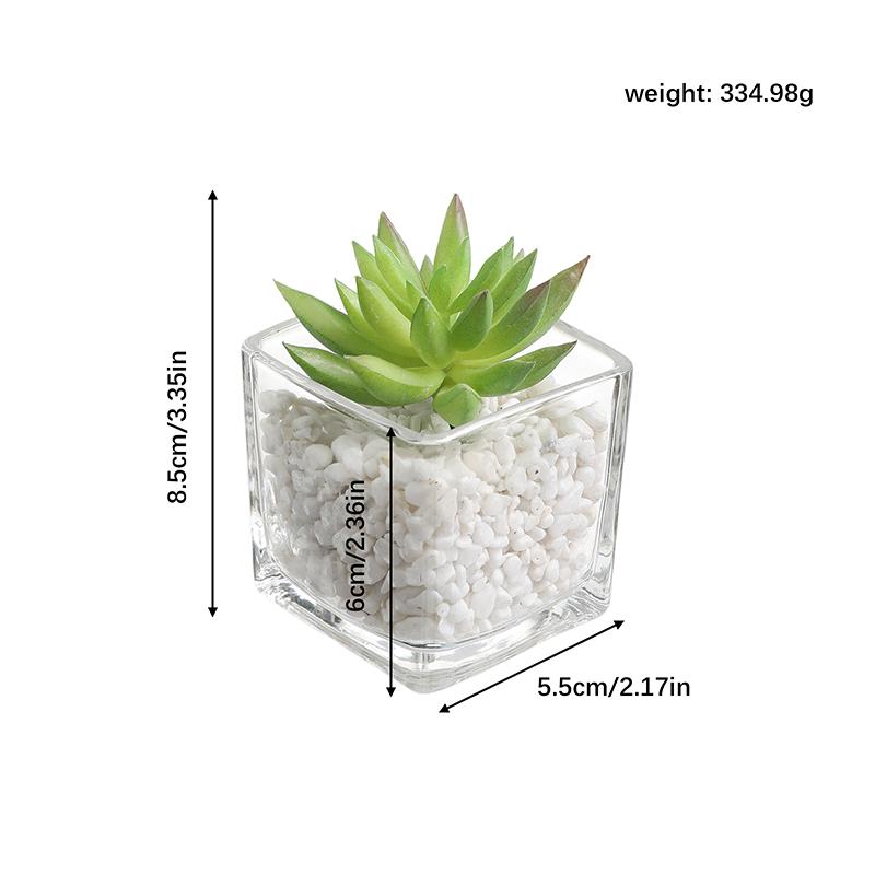 

1Pcs Succulent Plant Artificial Transparent Flowerpot Fake Cactus Plant Indoor For Window Office Racks Bathroom Home Decoration 1Pcs
