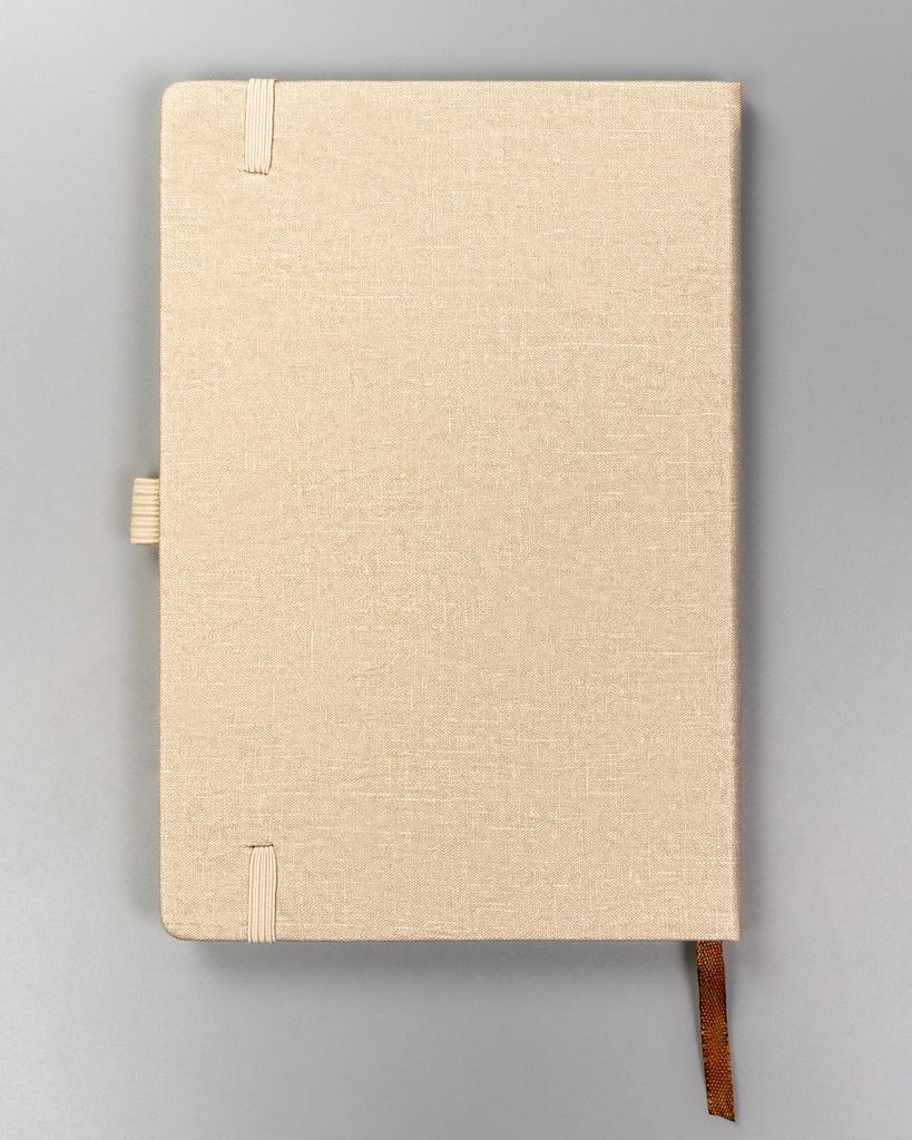 Notebook PTN NOT-6-6287 Beige
