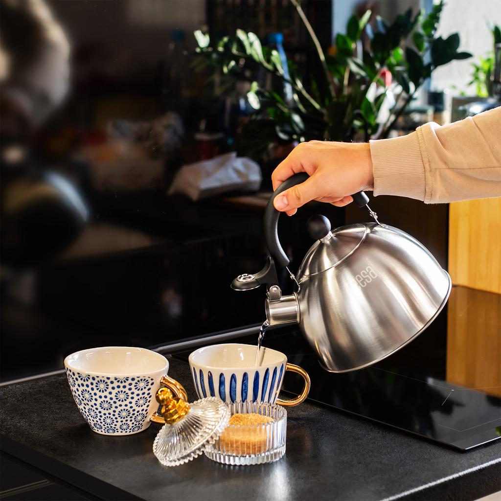 Teesa stainless steel kettle with whistle 1.8L gas induction