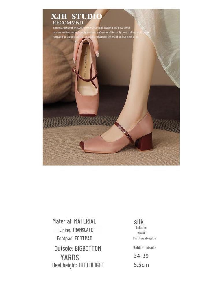 French Retro Pig Nose Square Toe Mary Jane Chunky Heels for Women - Spring/Autumn Style