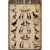 Breeds of Duck Vintage Metal Sign  Educational Farmhouse Decor for Bird Lovers  Nature Enthusiasts Perfect Home Barn O