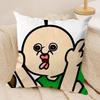 Anime Bangbang and Yuzhi Cushion Cover Silky Short Plush DoubleSided Printed Pillow Case for Sofa All Seasons Home Decor Gift