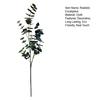 Artificial Eucalyptus Leaves Simulated Green Plants Faux Fabric Greenery for Home Decor Wedding Centerpieces DIY Bouquets Floral Arrangements